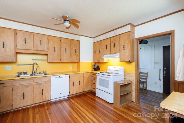 kitchen featuring ceiling fan, sink, dark hardwood / wood-style floors, crown molding, and white appliances