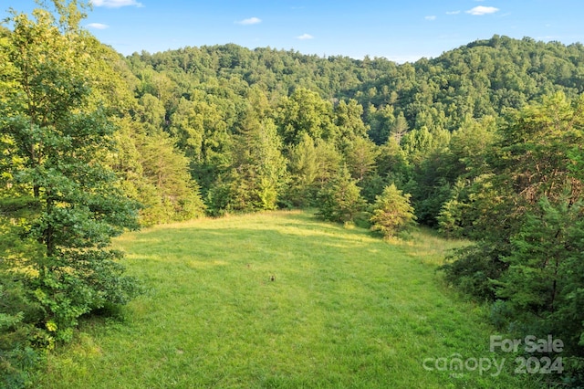 TBD Zacks Fork Rd, Lenoir NC, 28645 land for sale