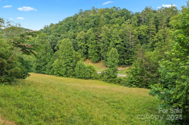 Listing photo 3 for TBD Zacks Fork Rd, Lenoir NC 28645