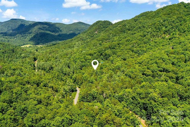 0 Buffalo Creek Rd Unit 0, Lake Lure NC, 28746 land for sale