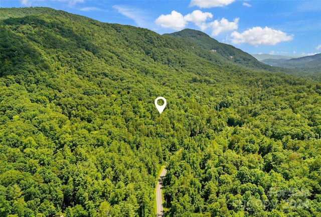 Listing photo 2 for 0 Buffalo Creek Rd Unit 0, Lake Lure NC 28746