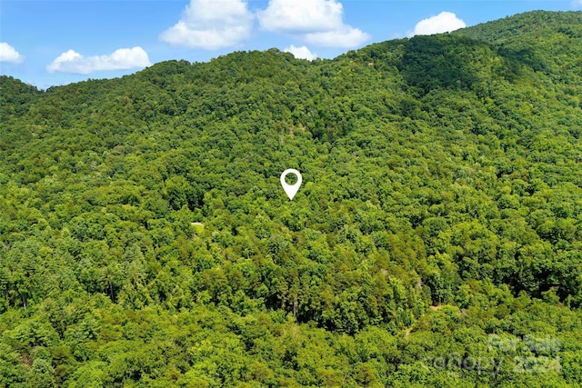 Listing photo 3 for 0 Buffalo Creek Rd Unit 0, Lake Lure NC 28746