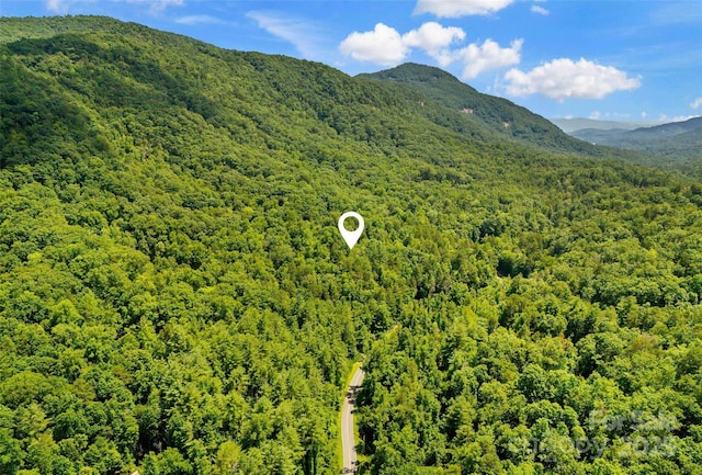 0 Buffalo Creek Rd Unit 0, Lake Lure, NC 28746