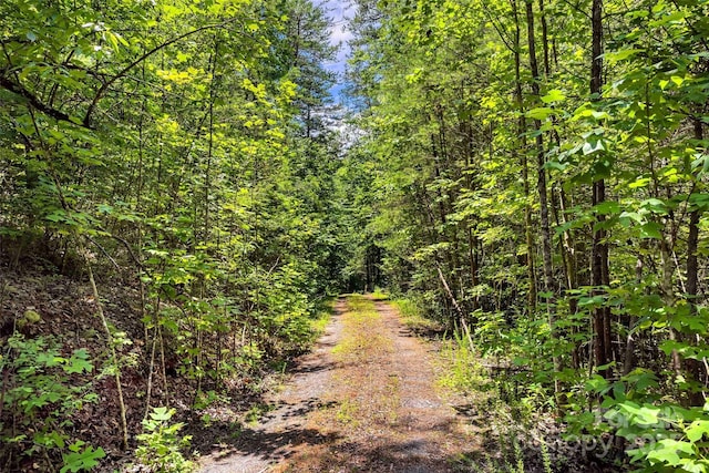 0 Buffalo Creek Rd Unit 0, Lake Lure, NC 28746
