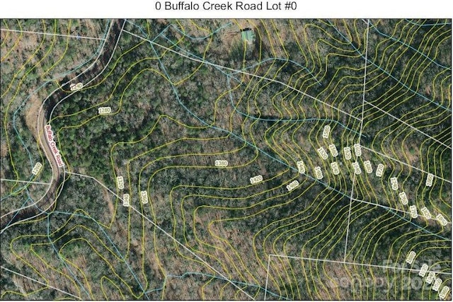 0 Buffalo Creek Rd Unit 0, Lake Lure, NC 28746