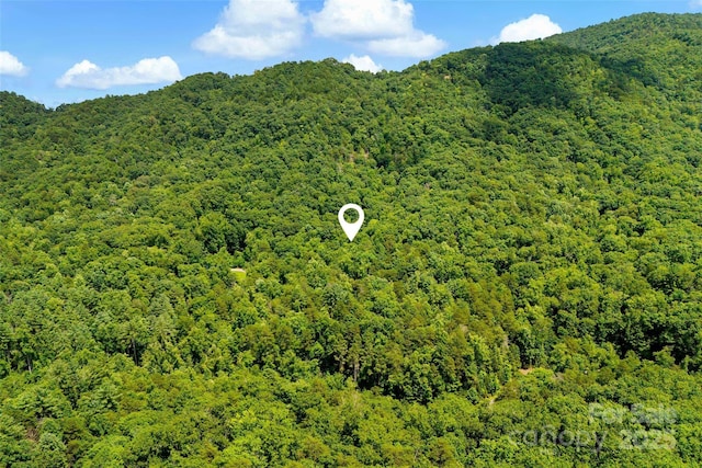 0 Buffalo Creek Rd Unit 0, Lake Lure, NC 28746