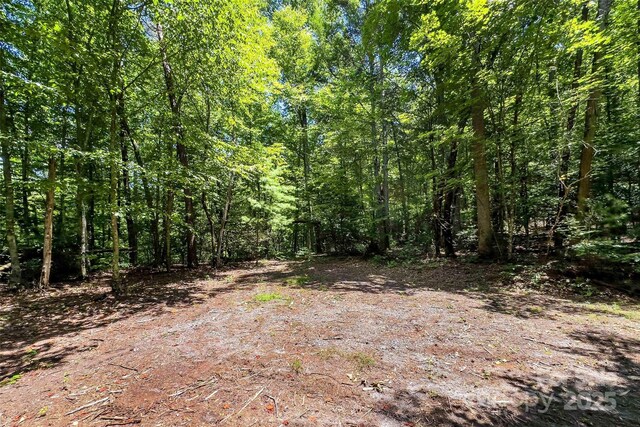 0 Buffalo Creek Rd Unit 0, Lake Lure, NC 28746