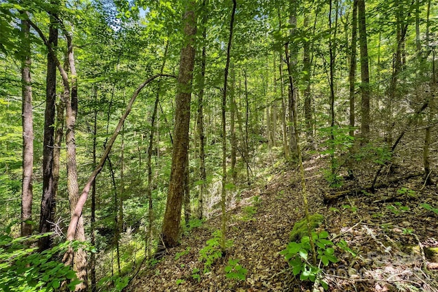 0 Buffalo Creek Rd Unit 0, Lake Lure, NC 28746
