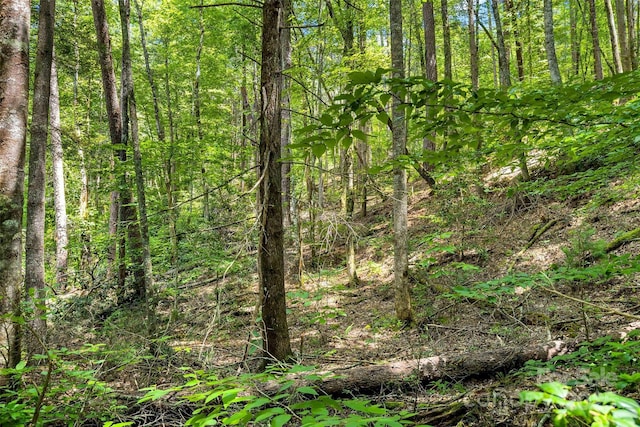 0 Buffalo Creek Rd Unit 0, Lake Lure, NC 28746