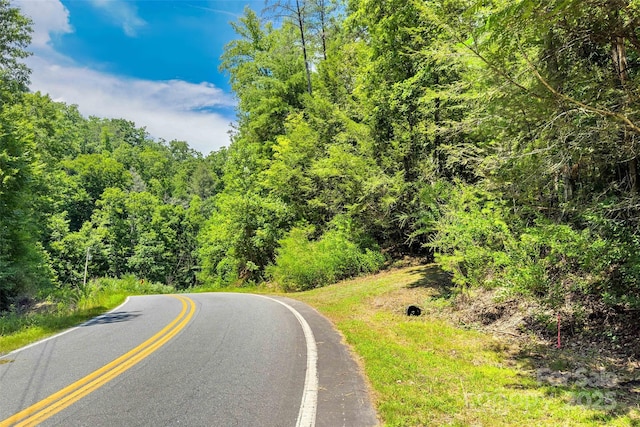 0 Buffalo Creek Rd Unit 0, Lake Lure, NC 28746