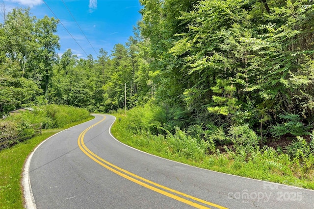 0 Buffalo Creek Rd Unit 0, Lake Lure, NC 28746