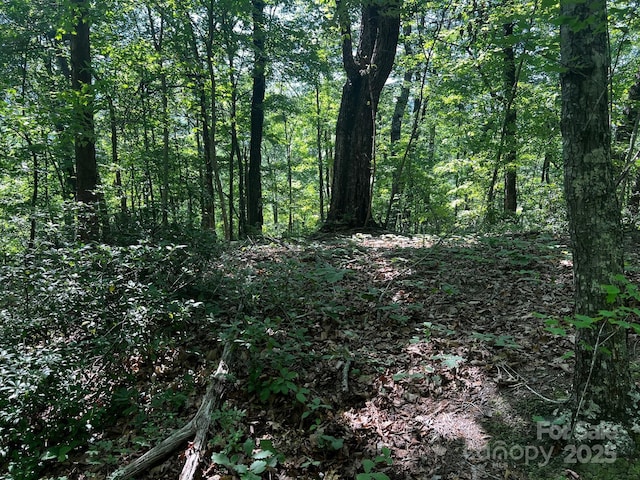 0 Buffalo Creek Rd Unit 0, Lake Lure, NC 28746