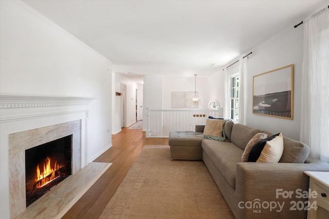 living room featuring a fireplace and light hardwood / wood-style floors