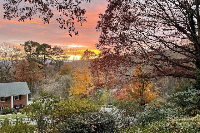 view of nature at dusk