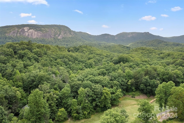 view of mountain feature