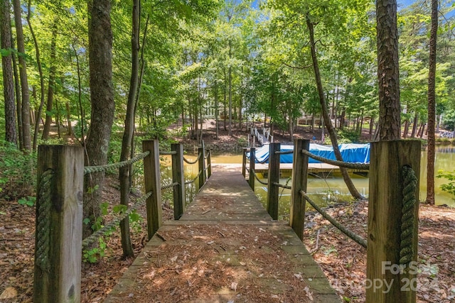 view of community with a boat dock and a water view