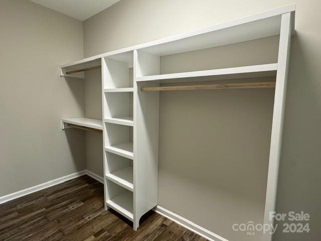 spacious closet with dark hardwood / wood-style floors