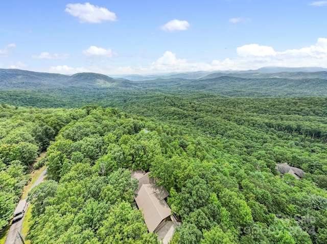 aerial view with a mountain view