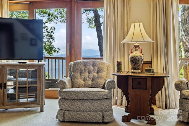 living area with a mountain view, carpet, and plenty of natural light