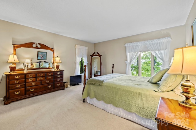 bedroom with light colored carpet