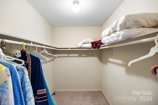 spacious closet with carpet floors