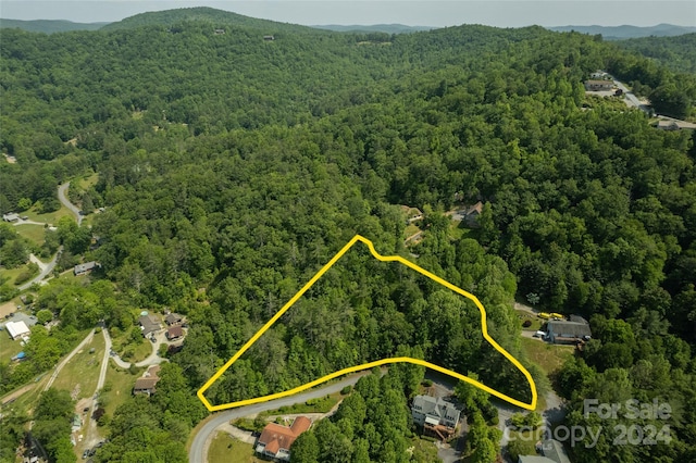 TBD Morgan Dr Unit 28, Penrose NC, 28766 land for sale