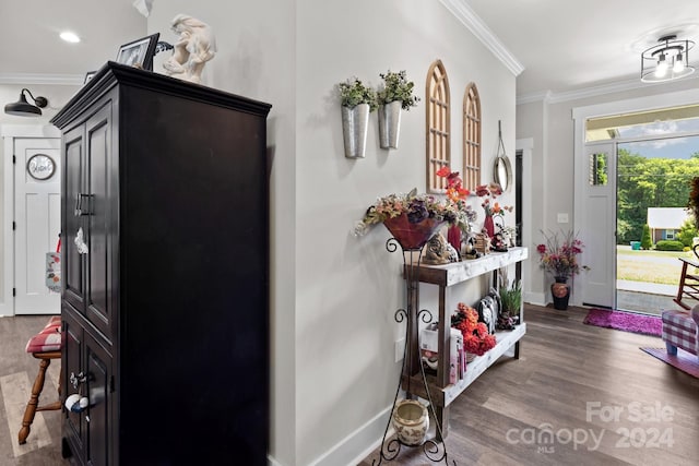 foyer entrance featuring dark hardwood / wood-style flooring and ornamental molding