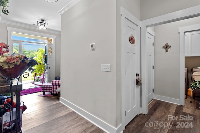 foyer entrance featuring dark hardwood / wood-style flooring and crown molding