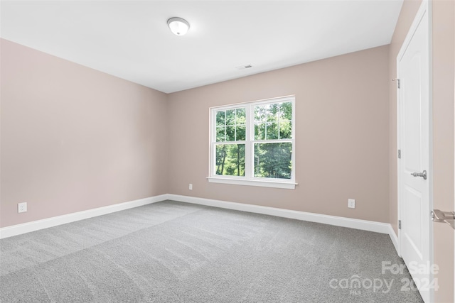 spare room featuring carpet