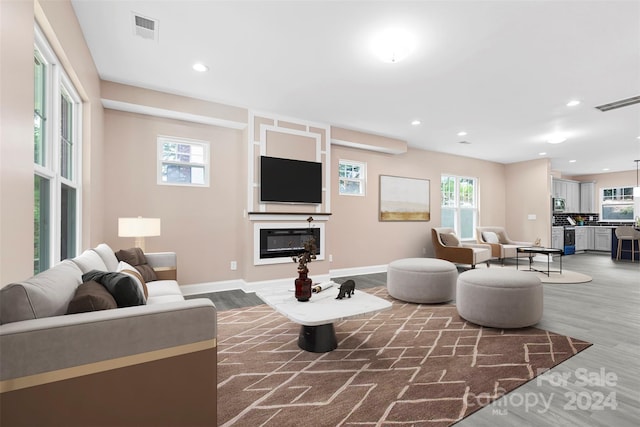 living room featuring hardwood / wood-style floors