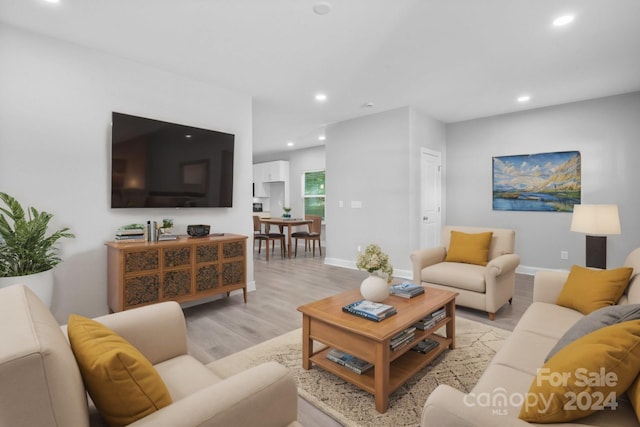 living room featuring light hardwood / wood-style floors