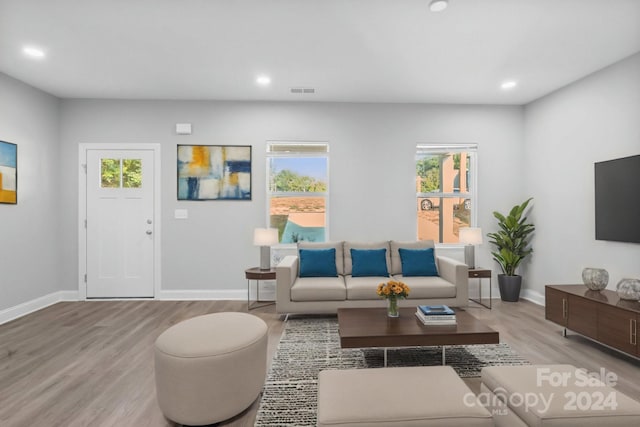 living room featuring light hardwood / wood-style flooring