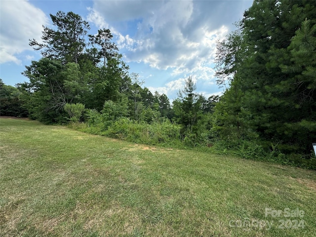 145 Wellington Estates Dr, China Grove NC, 28023 land for sale