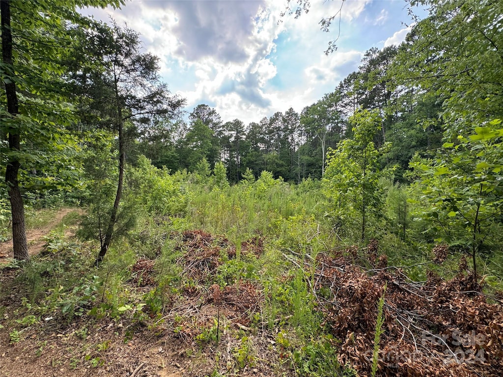 145 Wellington Estates Dr, China Grove, NC 28023 - photo 2