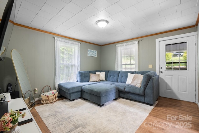 living room with wood-type flooring and crown molding