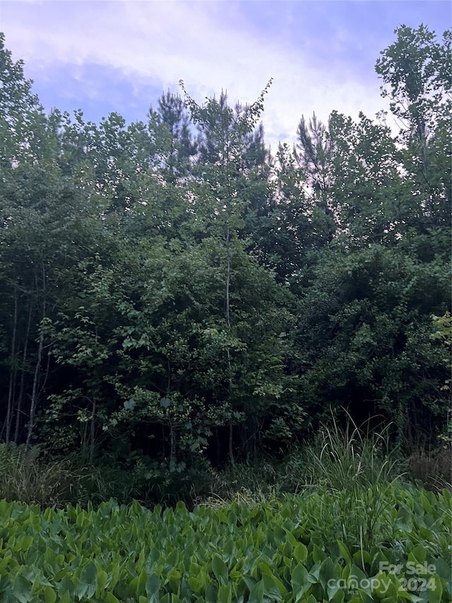1311 N NC Highway 109 N, Troy, NC 27371 - photo 5
