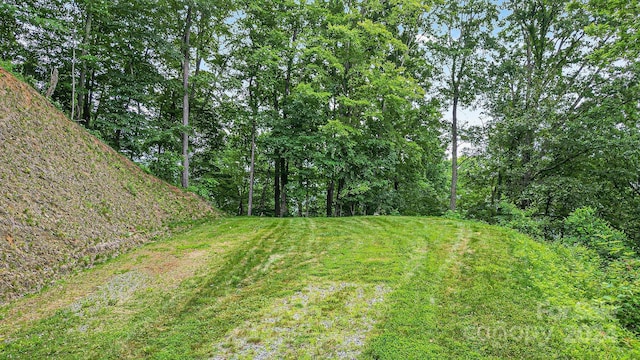 650 Freemont St Unit 81, Leicester, NC 28748 - photo 9