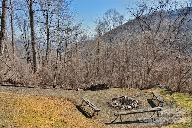 650 Freemont St Unit 81, Leicester, NC 28748 - photo 21