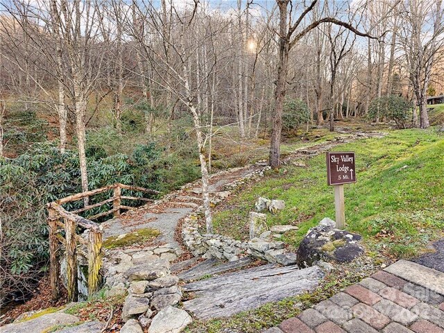 650 Freemont St Unit 81, Leicester, NC 28748 - photo 44