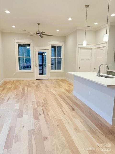 interior space with ceiling fan, sink, crown molding, and light wood-type flooring