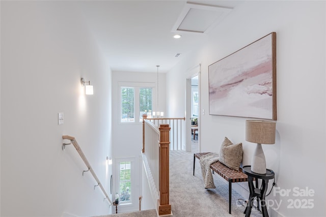 163 Collin Pl Unit 20, Asheville, NC 28804 - photo 12