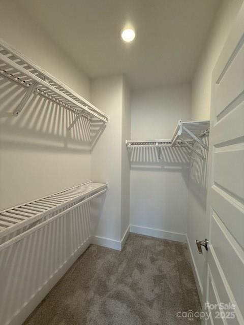 163 Collin Pl Unit 20, Asheville, NC 28804 - photo 9