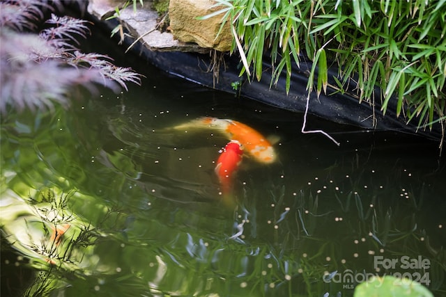 exterior details with a small pond