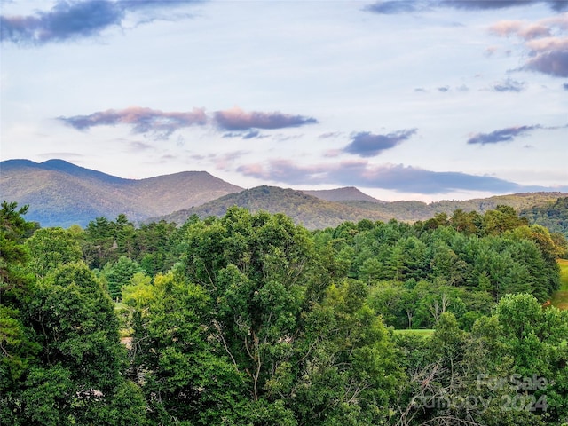 property view of mountains featuring a wooded view