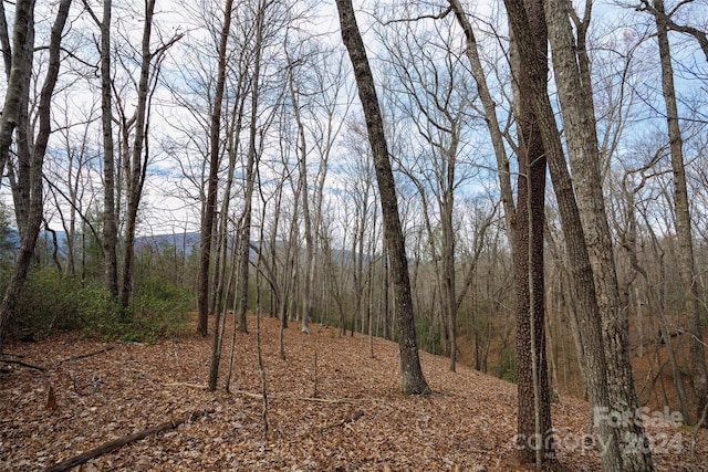 Listing photo 3 for 0 Lytle Mountain Rd, Old Fort NC 28762