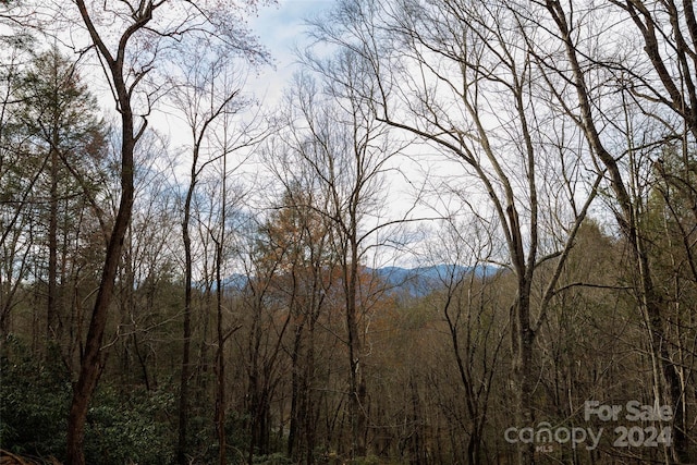 0 Lytle Mountain Rd, Old Fort, NC 28762