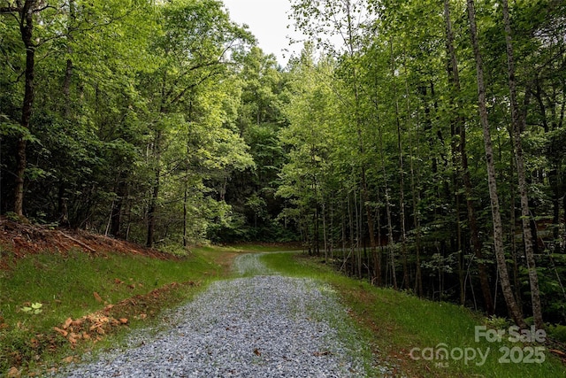 0 Lytle Mountain Rd, Old Fort, NC 28762 - photo 2