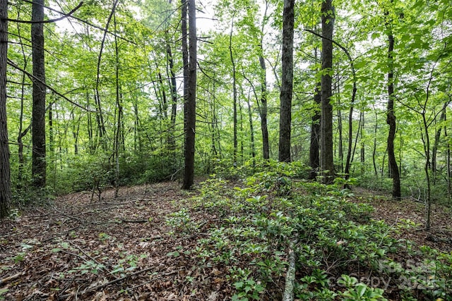 0 Lytle Mountain Rd, Old Fort, NC 28762 - photo 3