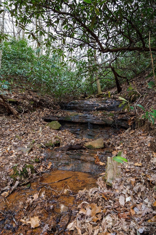 0 Lytle Mountain Rd, Old Fort, NC 28762 - photo 4