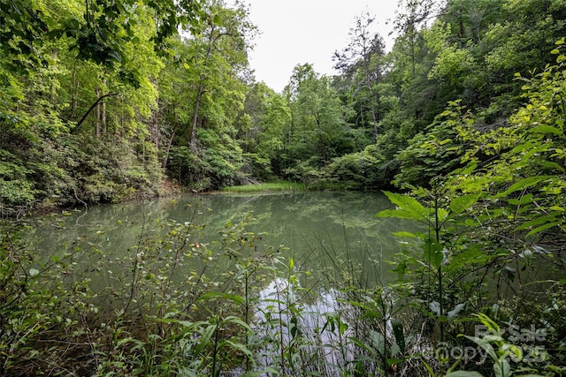 0 Lytle Mountain Rd, Old Fort, NC 28762 - photo 6